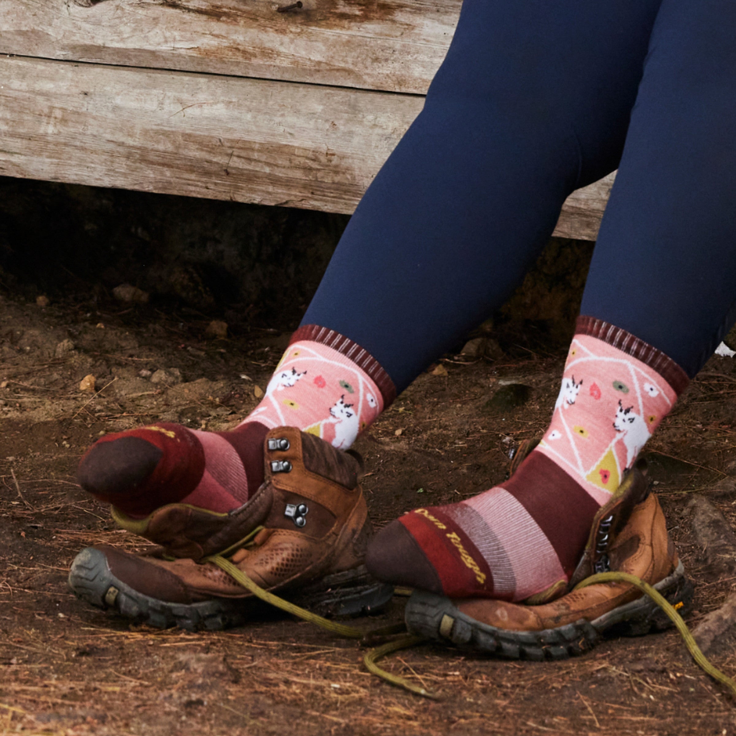 Darn Tough Socks Women's Critter Club Micro Crew Lightweight Hiking Socks - Image 12