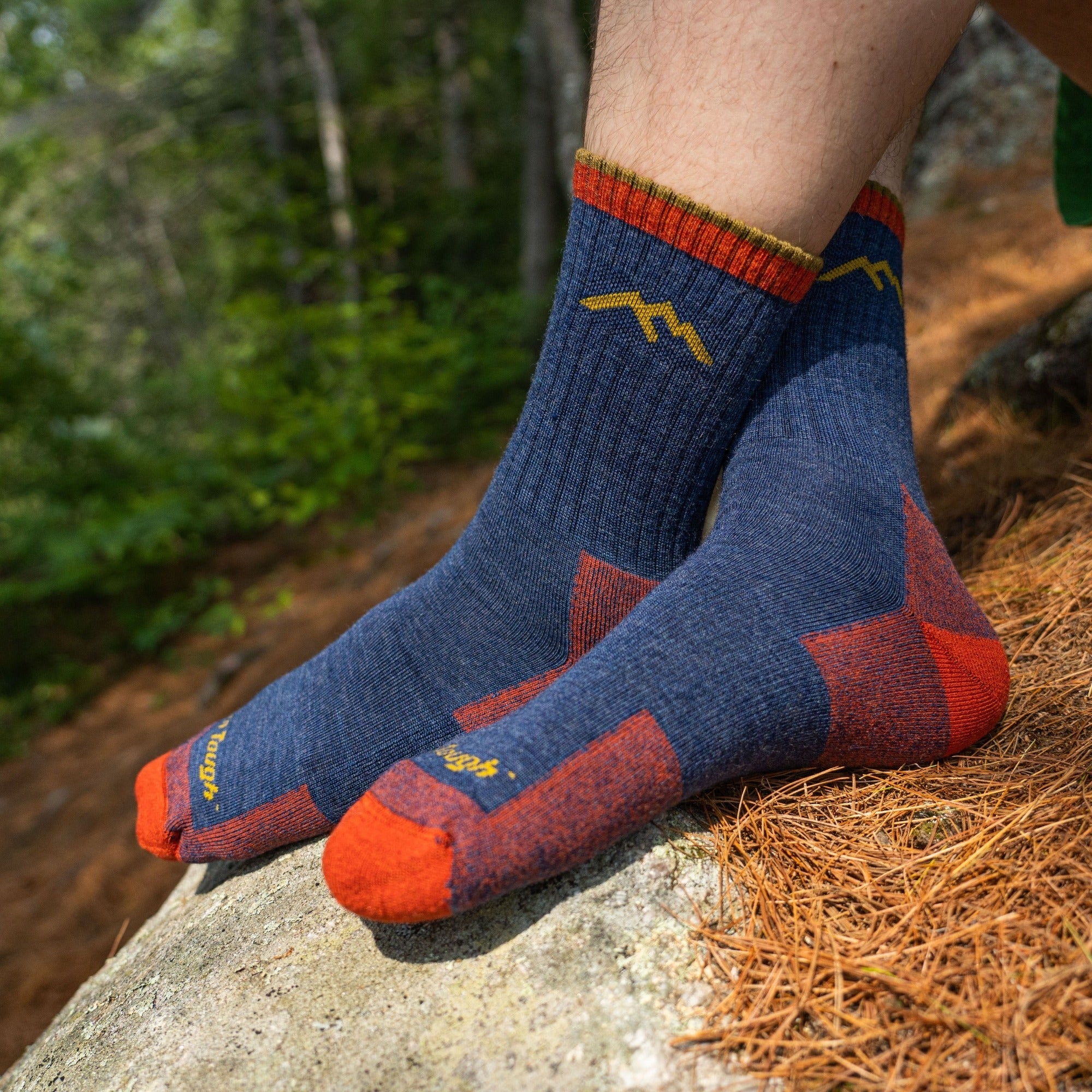 Darn Tough Socks Men's and Women's Hiker Micro Crew 2-Pack Hiking Socks - Image 7