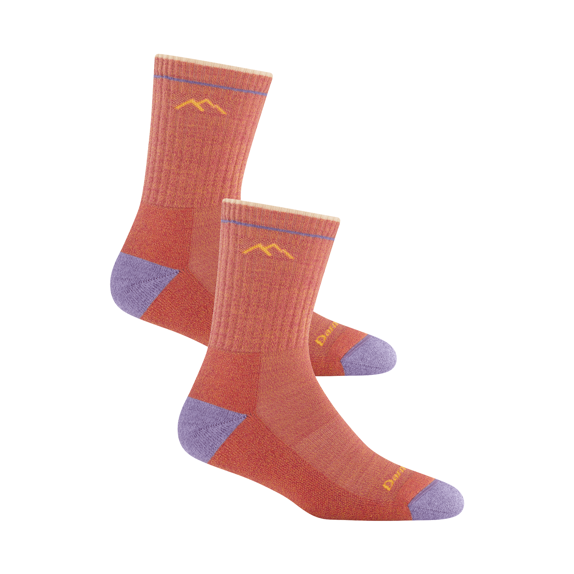 Darn Tough Socks Women's Limited Edition Micro Crew Hiker 2-Pack - Image 11