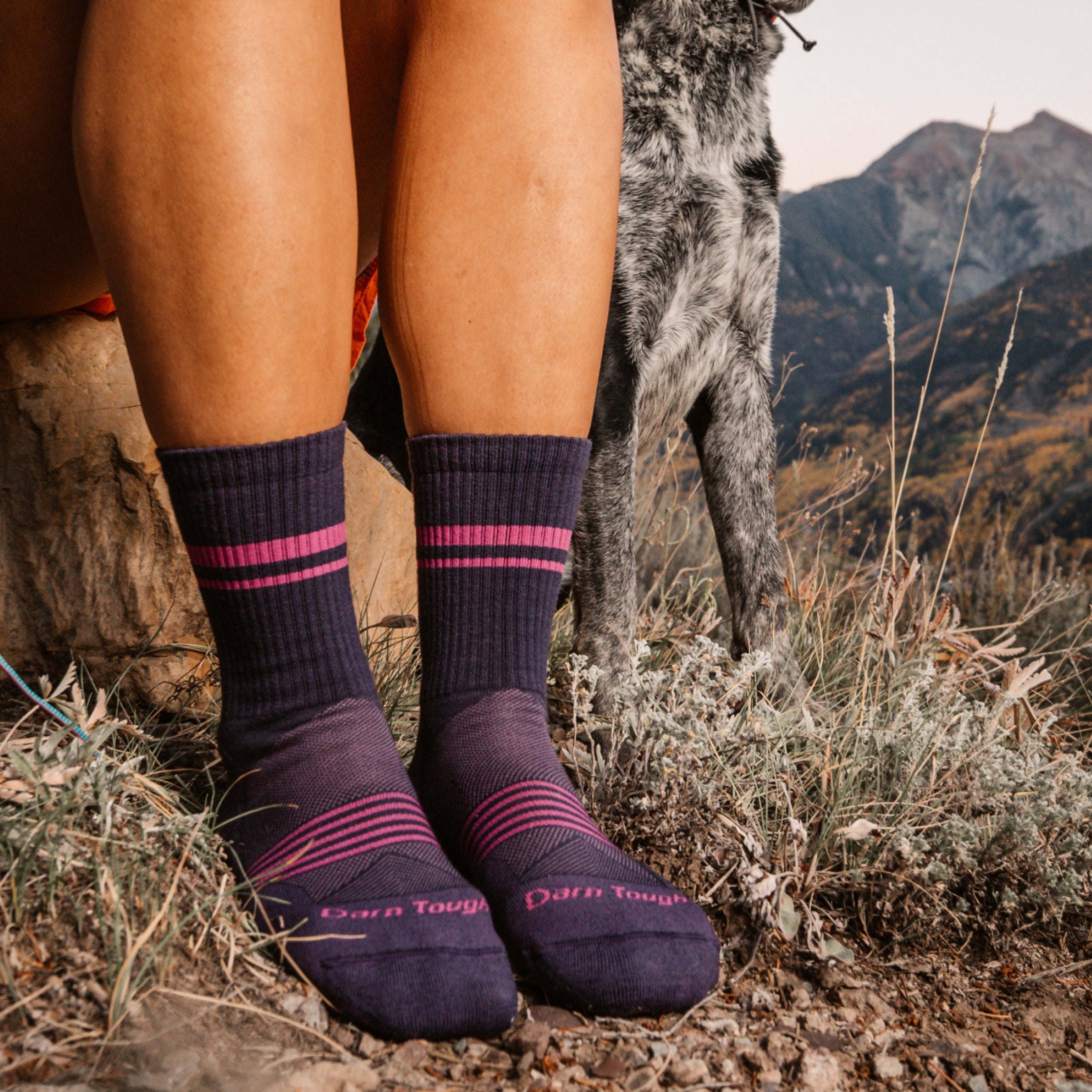 Darn Tough Socks Women's Element Micro Crew Lightweight Running Socks - Image 2