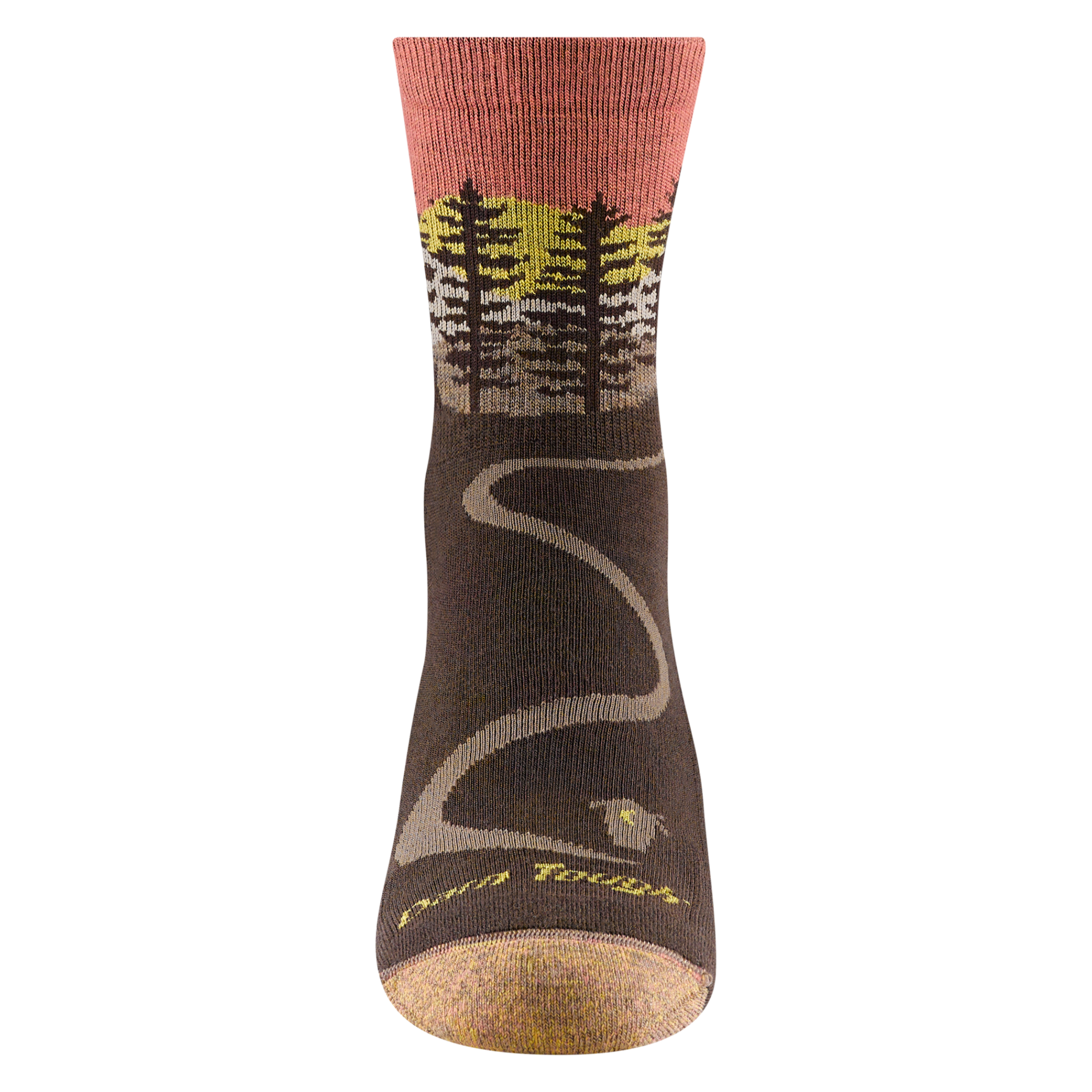 Darn Tough Socks Women's Northwoods Micro Crew Midweight Hiking Socks - Image 10