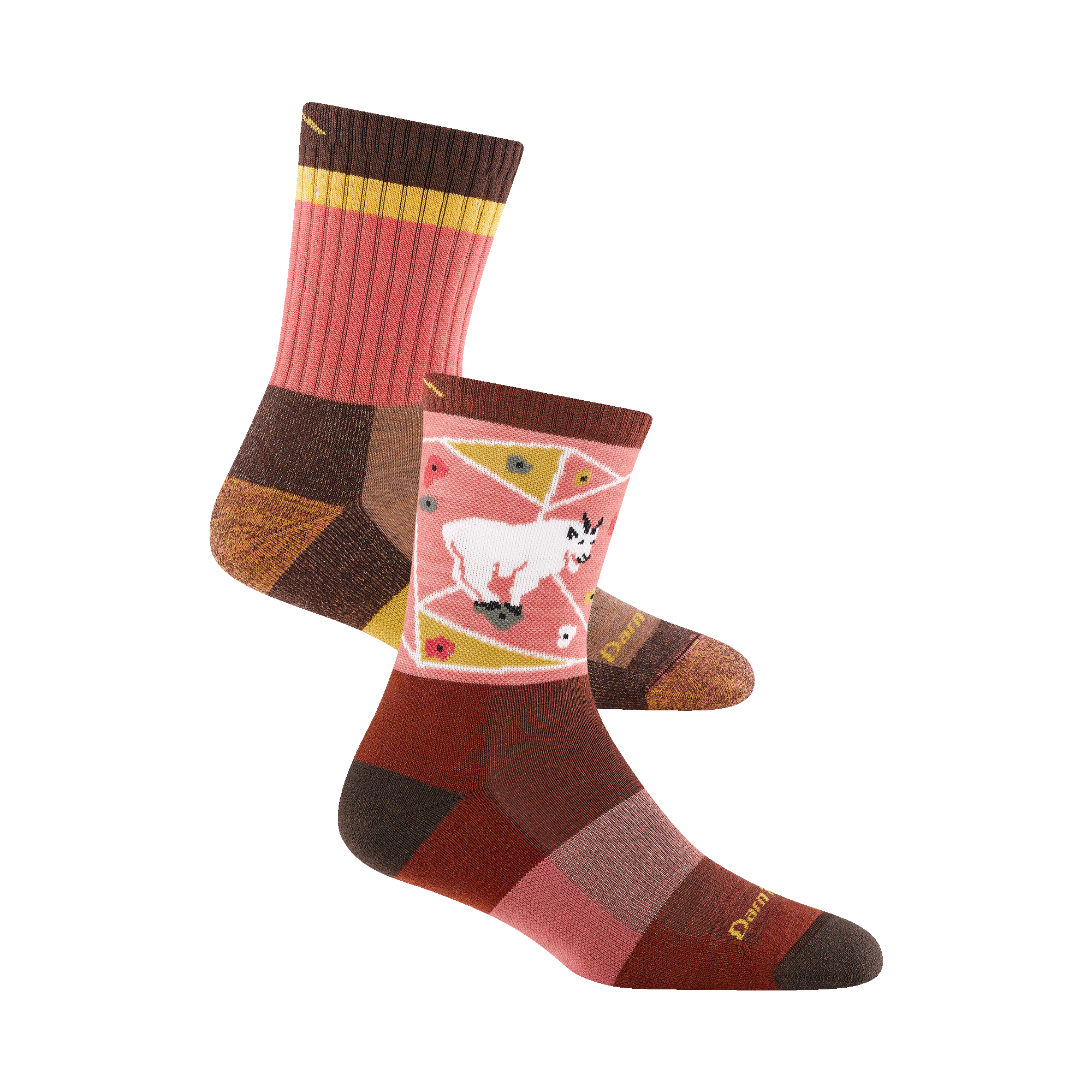 Darn Tough Socks Women's Micro Crew Hiker 2-Pack