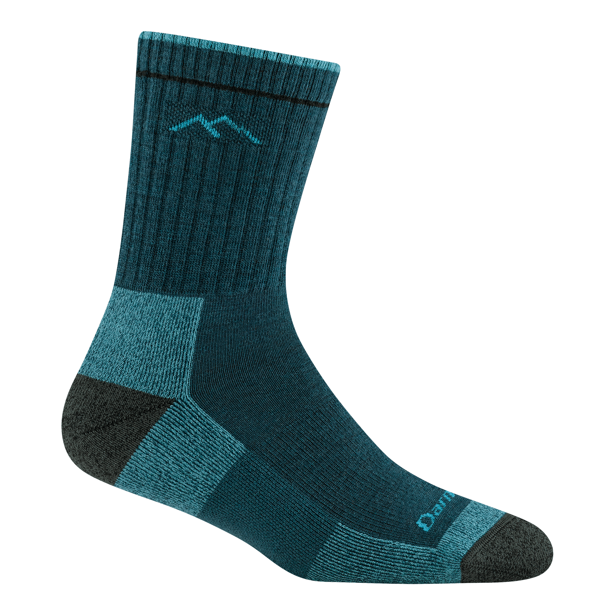 Darn Tough Socks Women's Limited Edition Hiker Micro Crew Midweight Hiking Sock