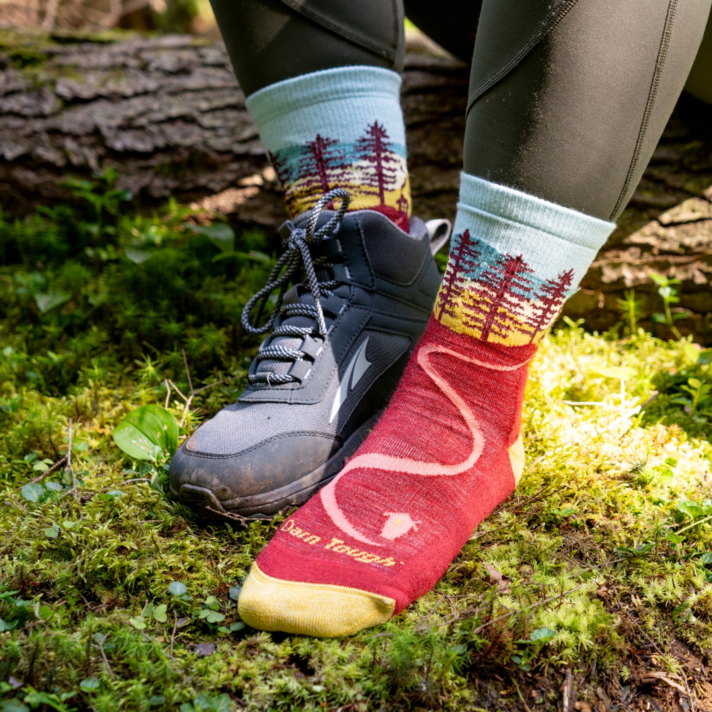 Darn Tough Socks Women's Limited Edition Northwoods Hiking Sock 2-Pack - Image 2