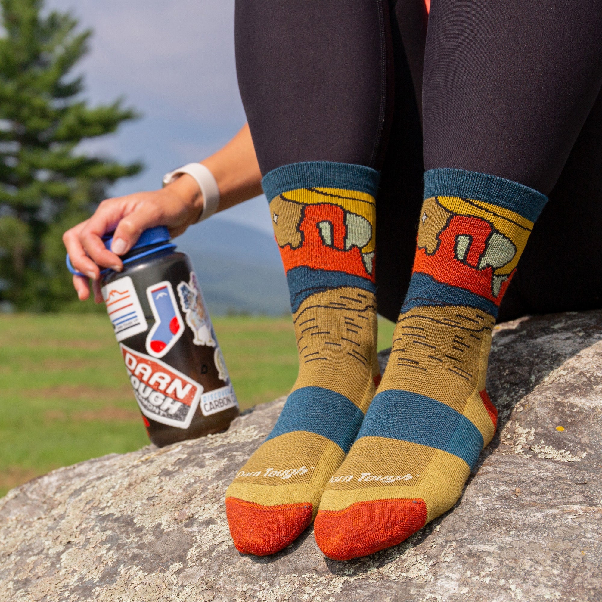 Darn Tough Socks Women's Celeste Micro Crew Midweight Hiking Socks - Image 3