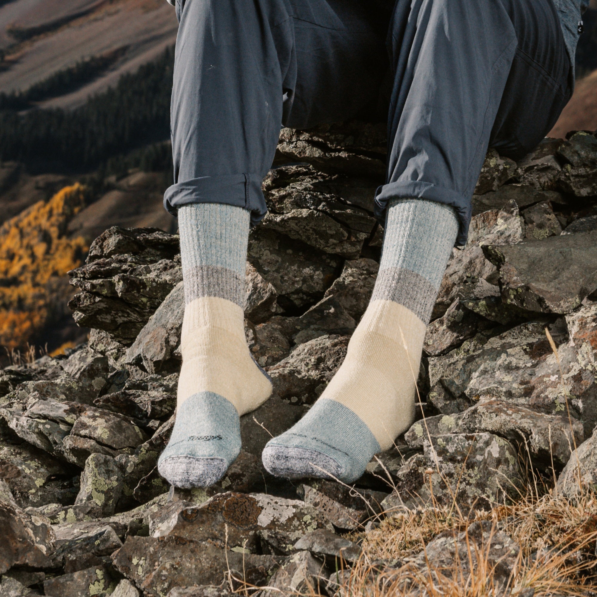 Darn Tough Socks Men's Mountaineering Micro Crew Heavyweight Hiking Socks - Image 2