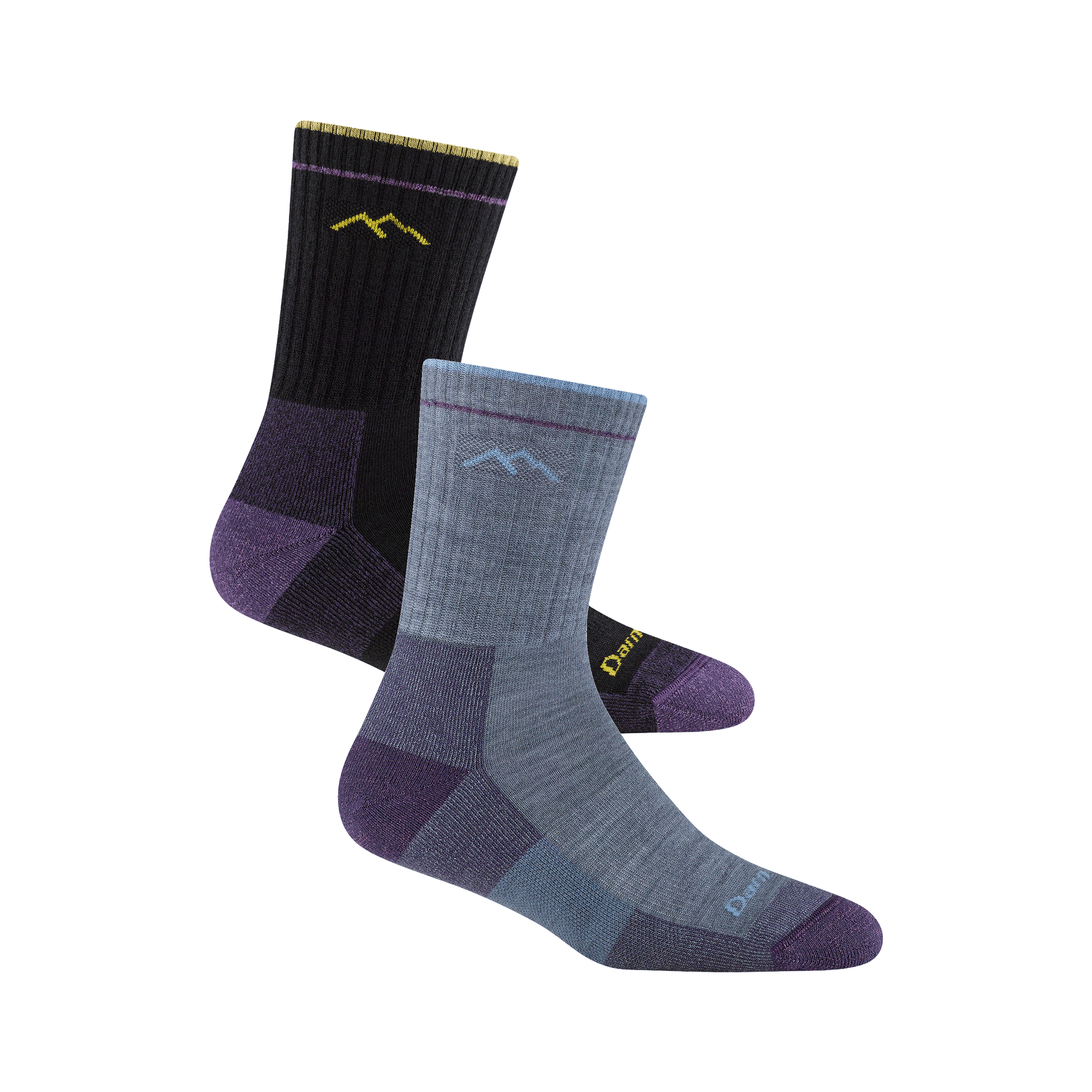 Darn Tough Socks Women's Limited Edition Micro Crew Hiker 2-Pack