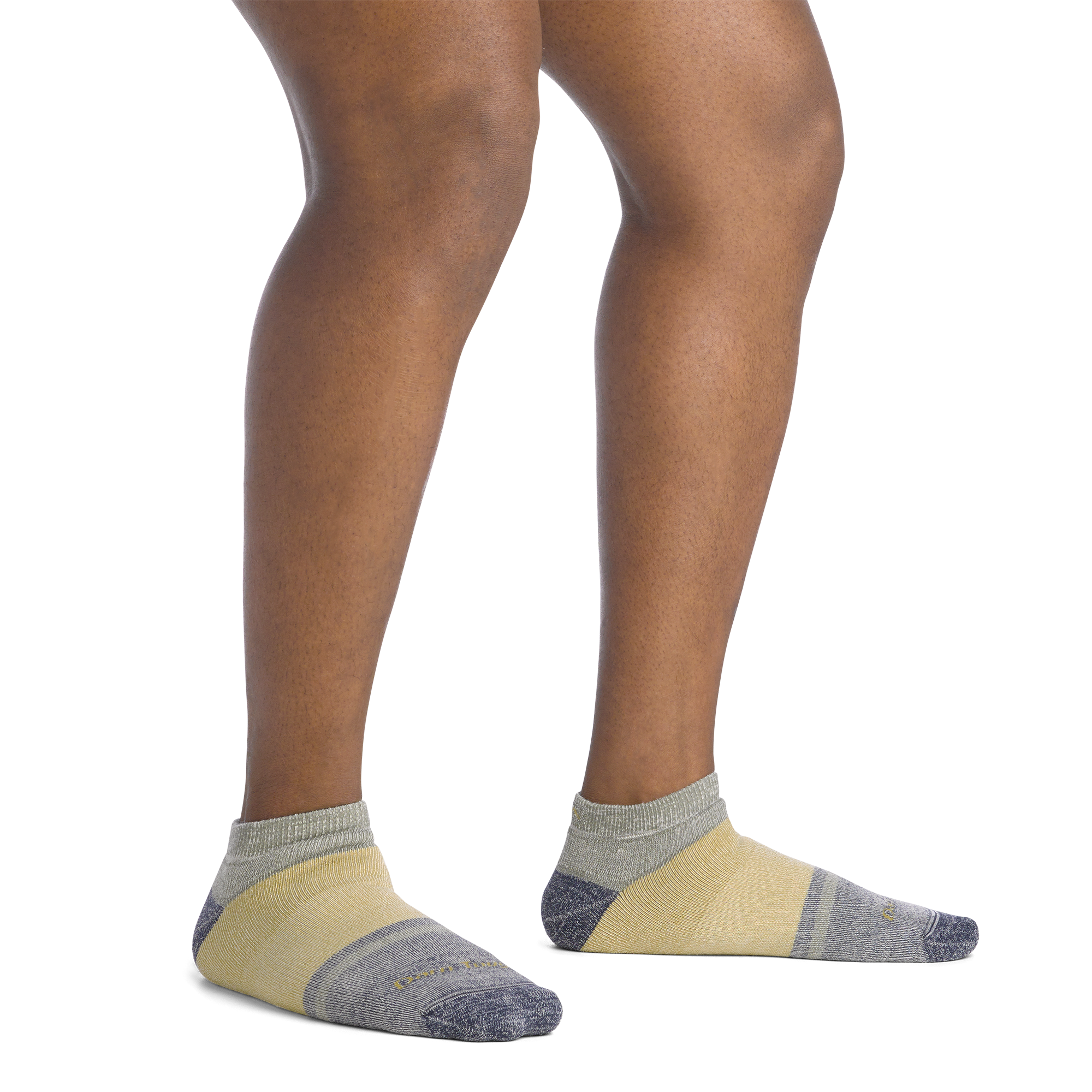 Darn Tough Socks Men's and Women's Apres Heavyweight No Show 2-Pack - Image 6