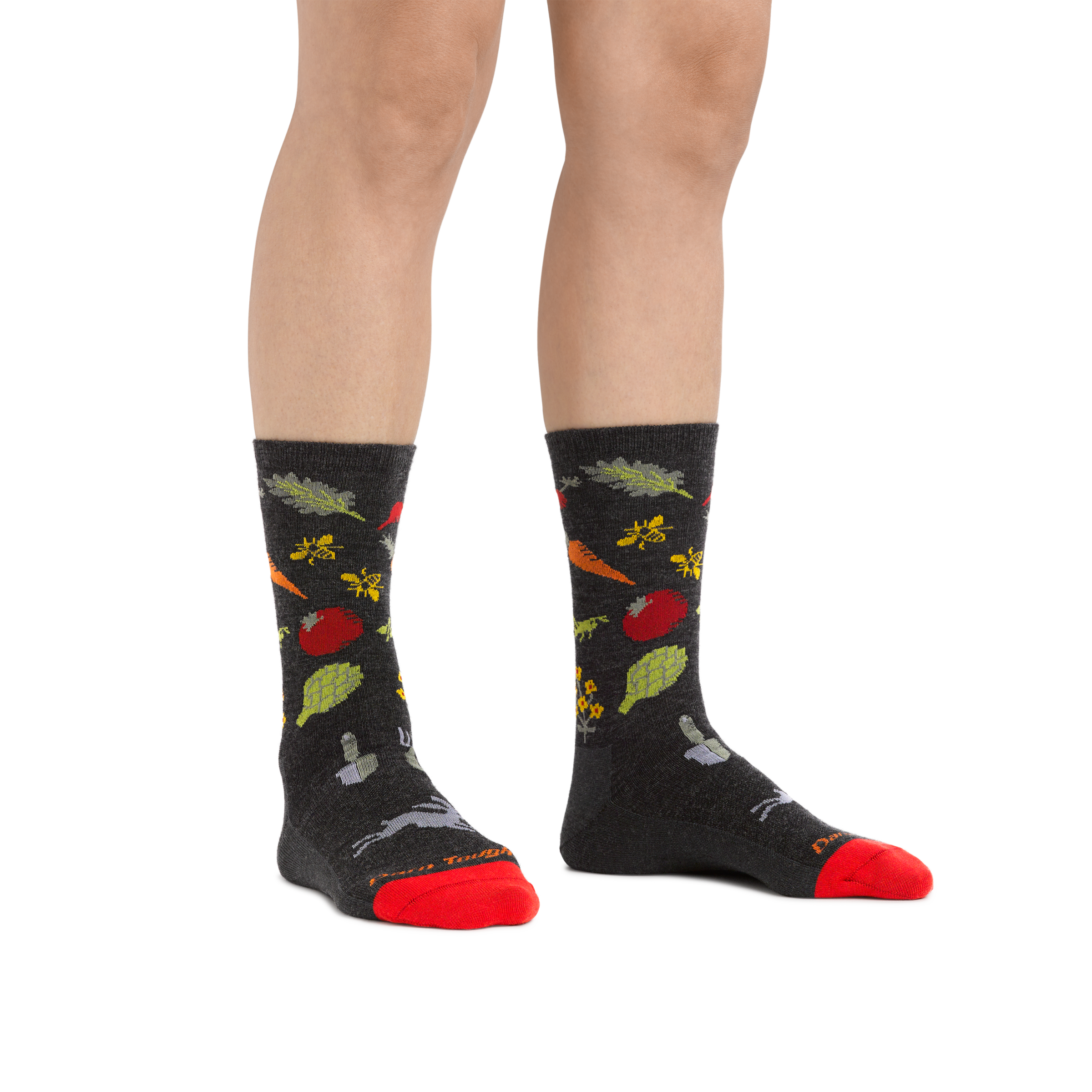 Darn Tough Socks Women's Lightweight Lifestyle 2-Pack - Image 6