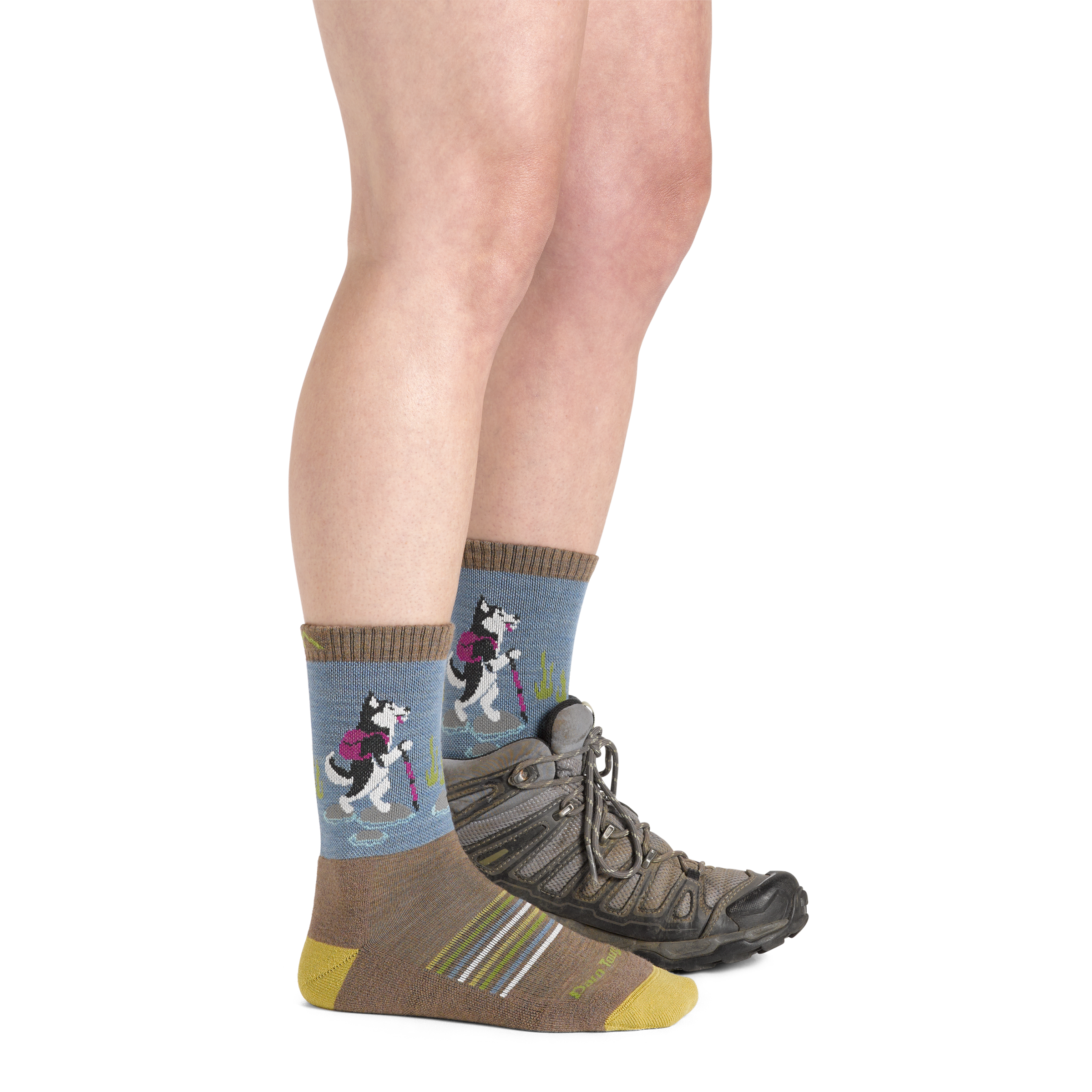 Darn Tough Socks Women's Critter Club Micro Crew Lightweight Hiking Socks - Image 7