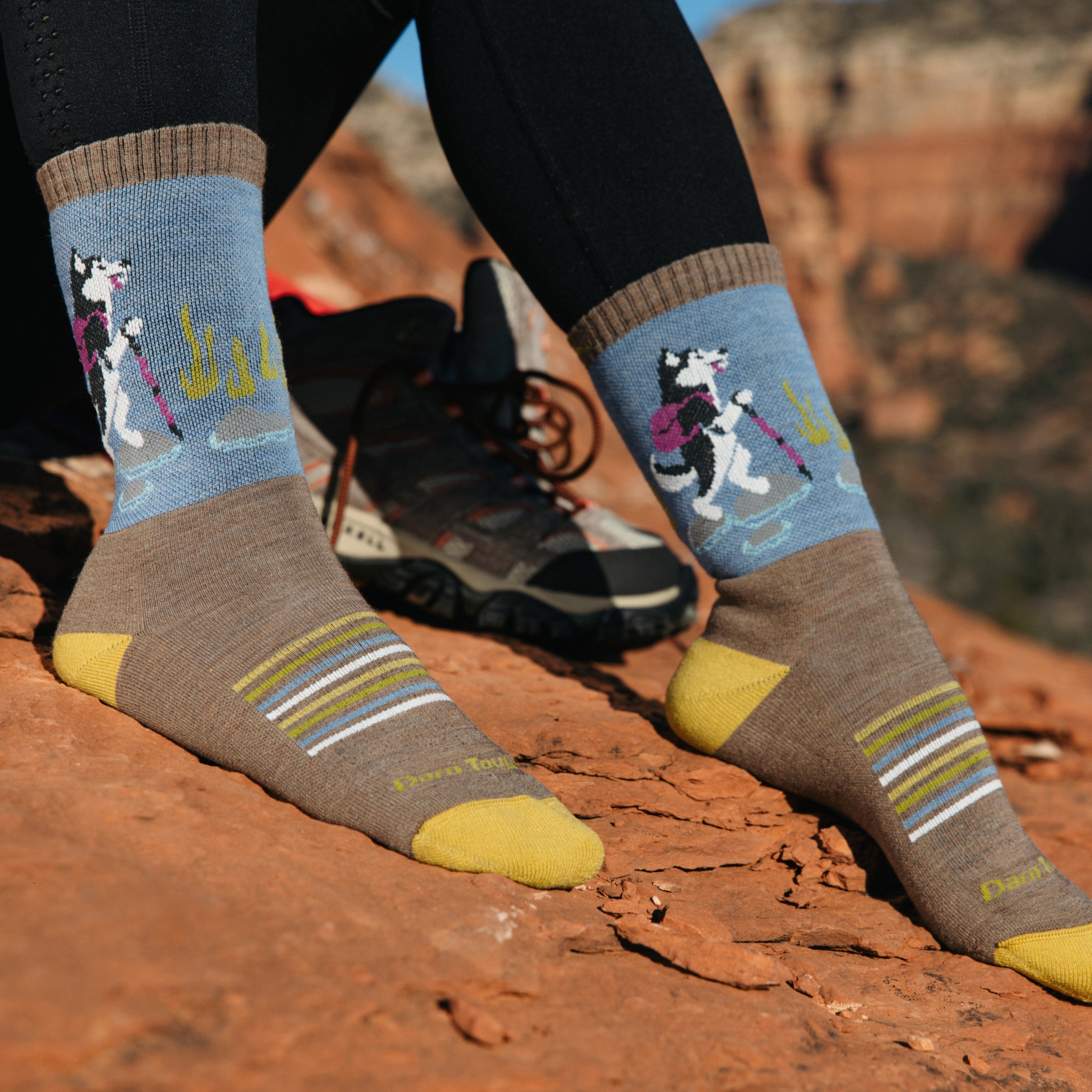 Darn Tough Socks Women's Critter Club Micro Crew Lightweight Hiking Socks - Image 9