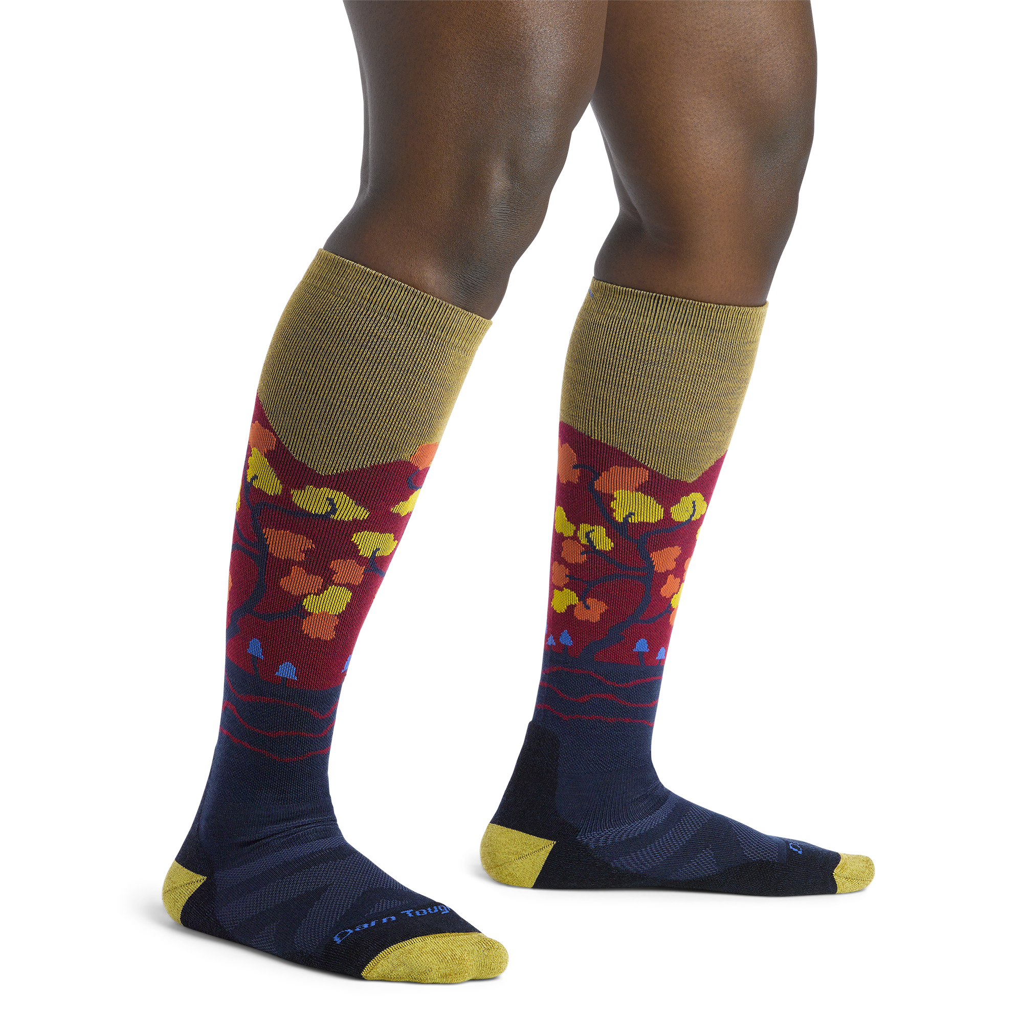 Darn Tough Socks Women's Enchanted Over-the-Calf Midweight Ski & Snowboard Socks - Image 6