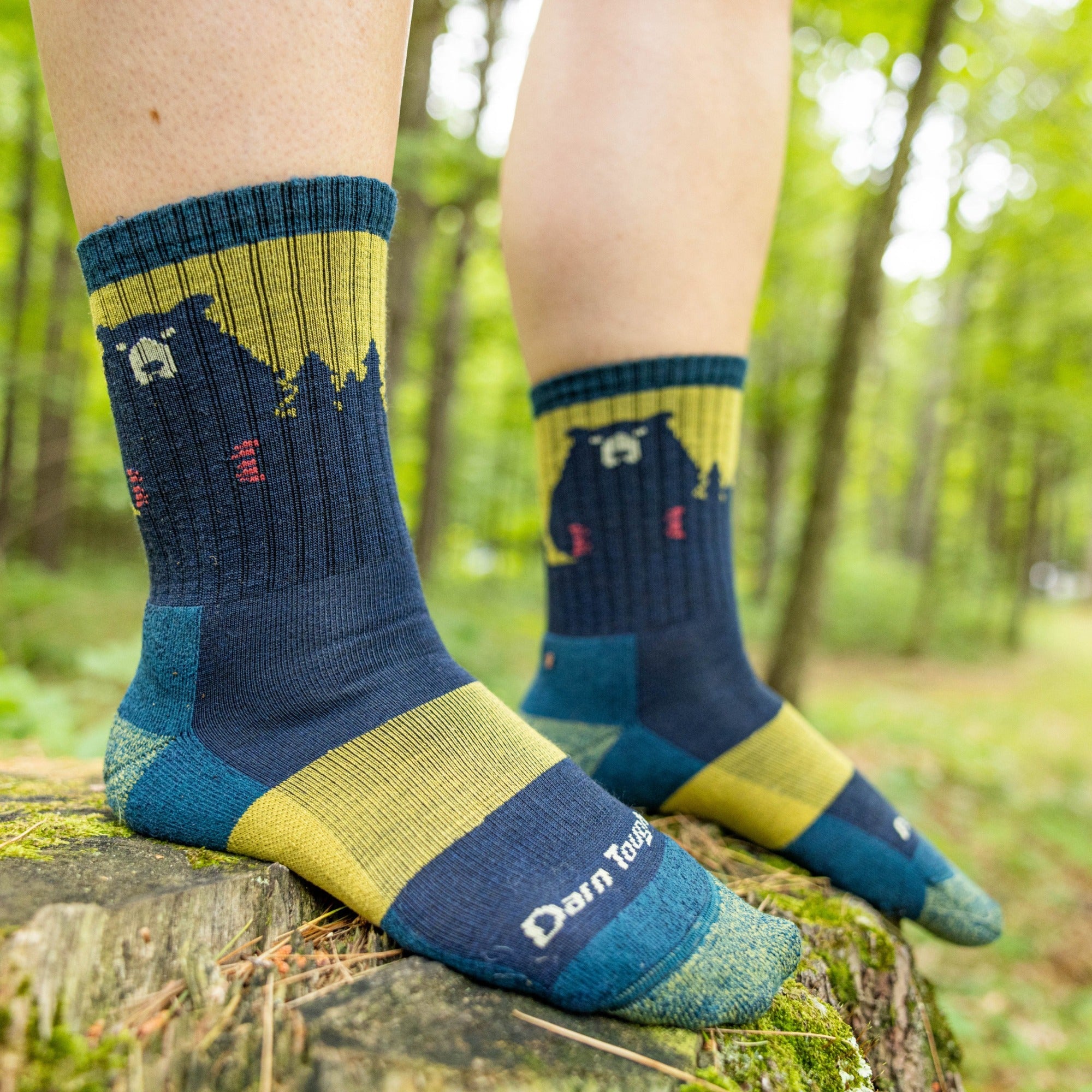 Darn Tough Socks Women's Nature 2-Pack Hiking Socks - Image 14