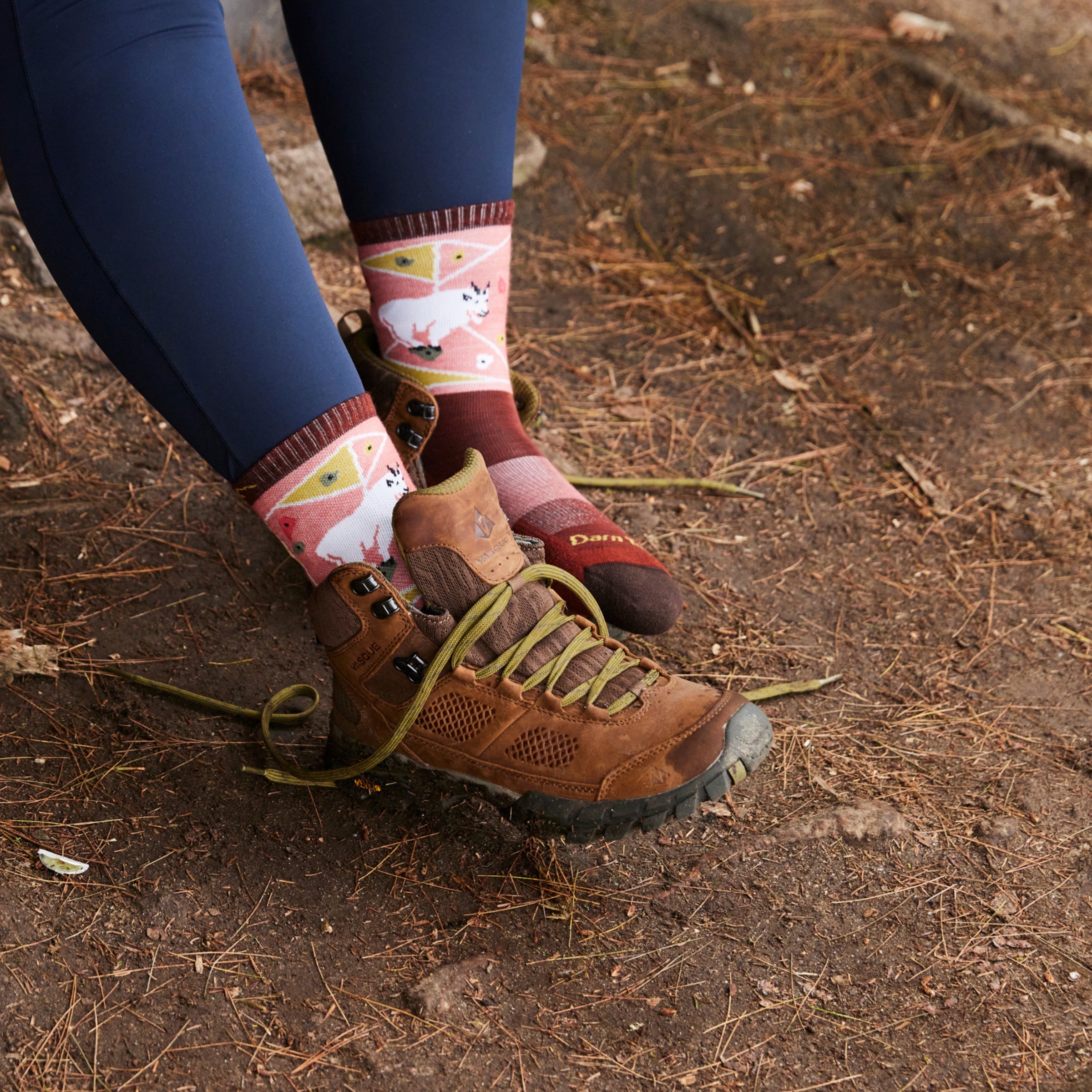 Darn Tough Socks Women's Critter Club Micro Crew Lightweight Hiking Socks - Image 13